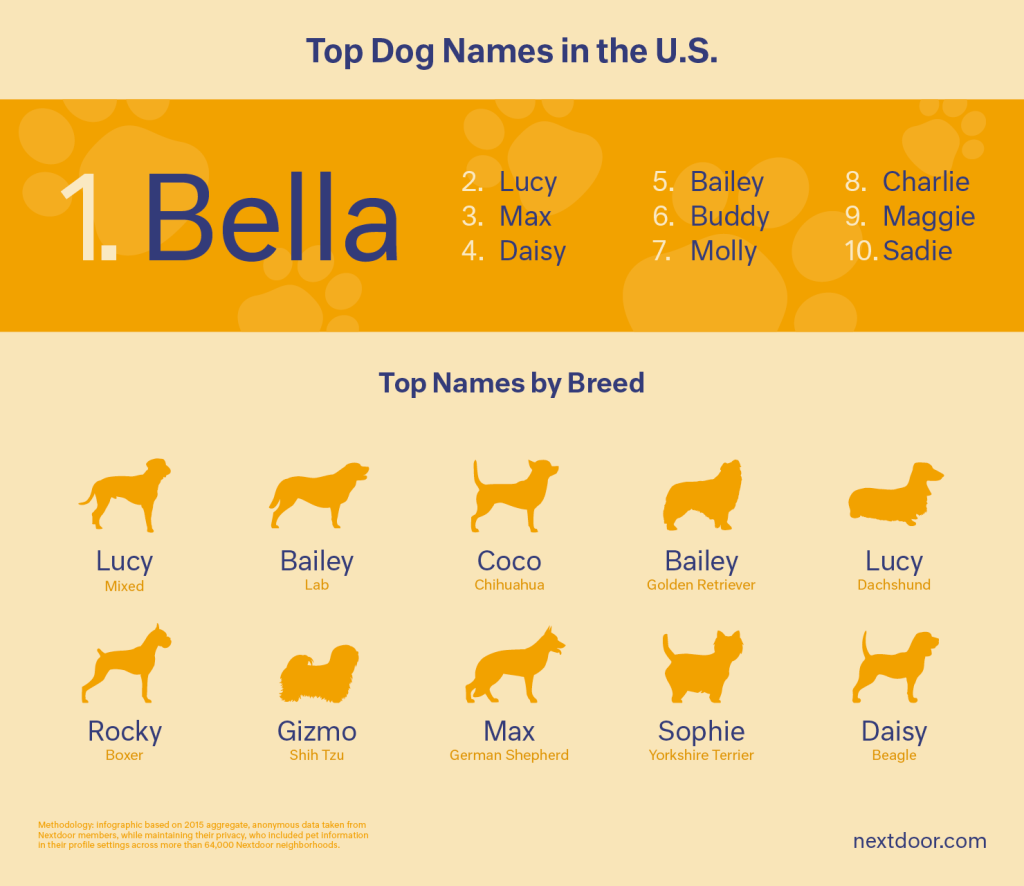 Top Dog Names in U.S. (1)