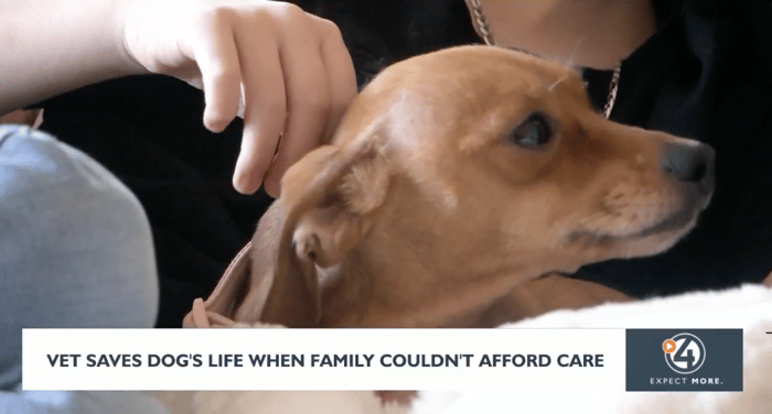 Screenshot 2026-02-12 at 9.55.47 AM