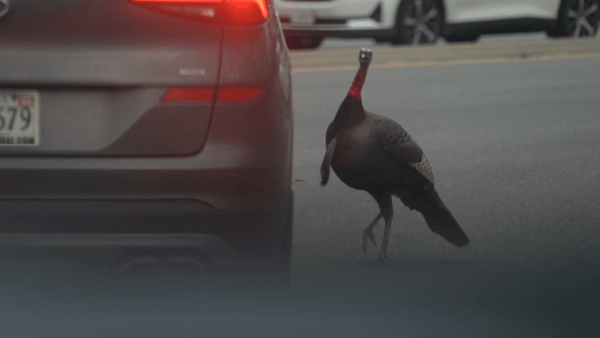 Screenshot 2026-04-28 at 11.04.20 AM