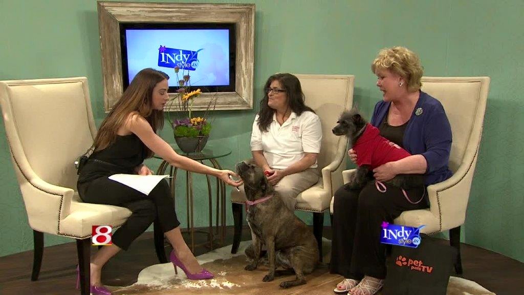 Joanie (center) spreading the word about her rescues in hopes of finding them forever homes.
