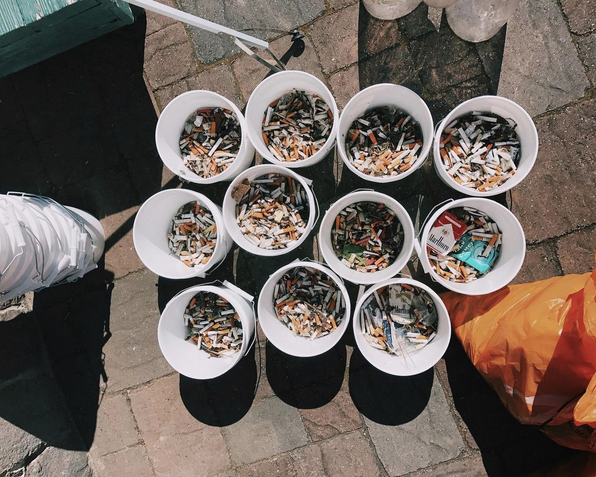 Some of the cigarette butts collected by the volunteers. Photo credit: Pawel Dlugosz.