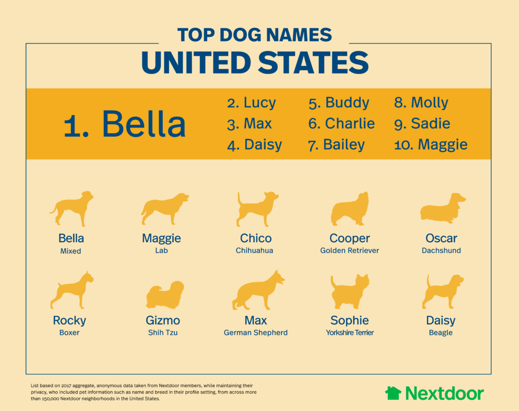 What Is The Most Popular Dog Name
